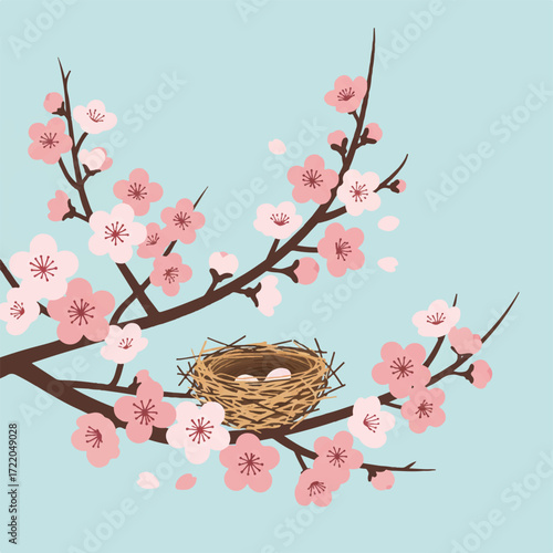 A birds nest with three eggs sits on a blooming cherry tree branch