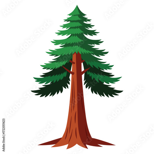Detailed Redwood Tree Illustration on White Background