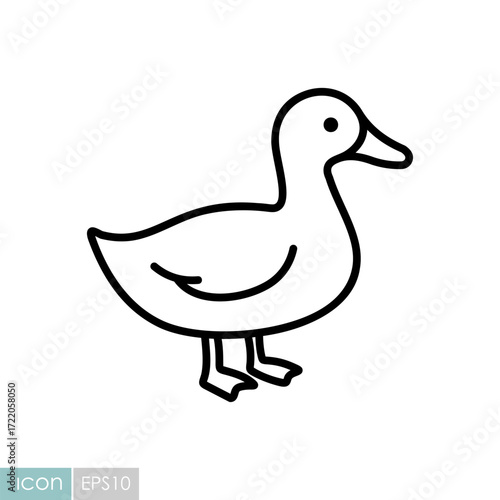 Whole Duck Outline Vector Icon