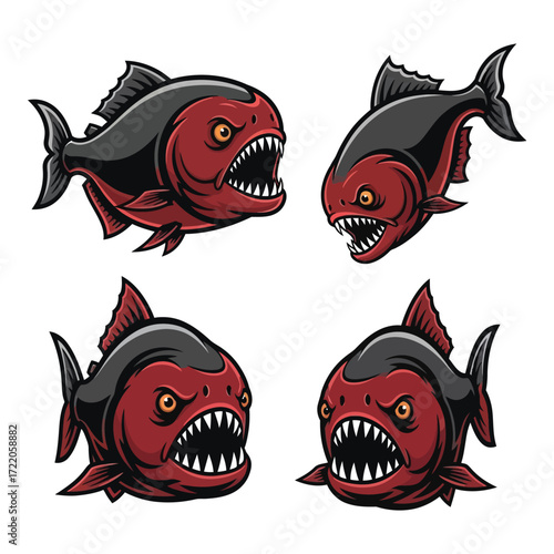 Four aggressive red piranha fish with sharp teeth and angry eyes aquatic predators