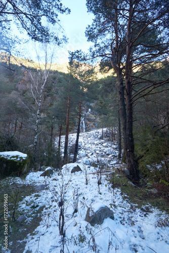 Fotografie Sendero entre árboles con parches de nieve y rocas, ascendiendo por un bosque montañoso iluminado por el sol