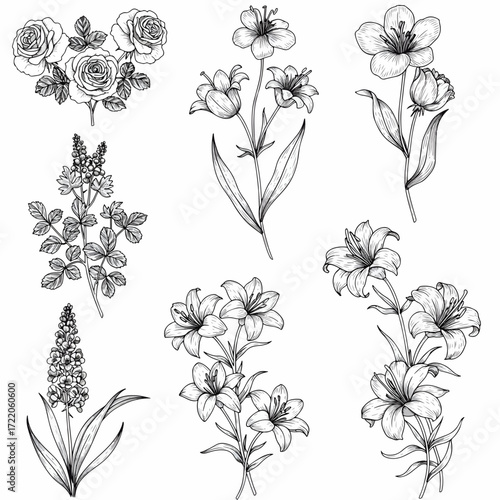 Elegant floral sketches for invitations, cards, and designs, bringing a touch of nature and sophistication to your projects with artistic floral elements