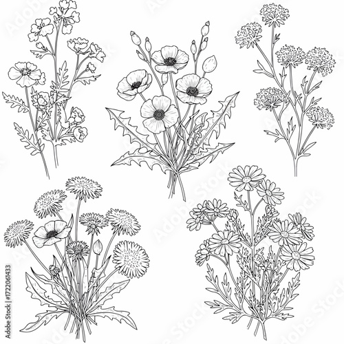 Elegant floral sketches bloom in a modern wildflower bouquet, perfect for a delicate botanical design or springtime invitation, originally a scalable vector graphic