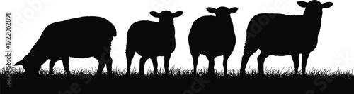 Black silhouette sheep on grass, grazing posture, farm animals, livestock concept, minimal design, white background, rural scene, vector illustration