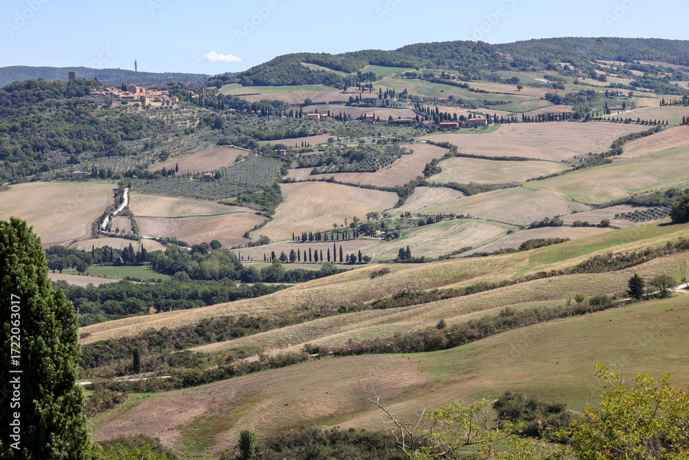 Fototapeta premium The rural landscape near Pienza in Tuscany. Italy