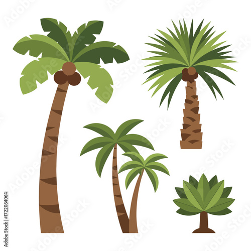 Tropical palm trees set collection exotic nature flora summer vacation beach paradise plants