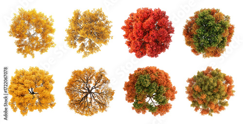 PNG Vibrant autumn trees aerial view, element set on transparent background
