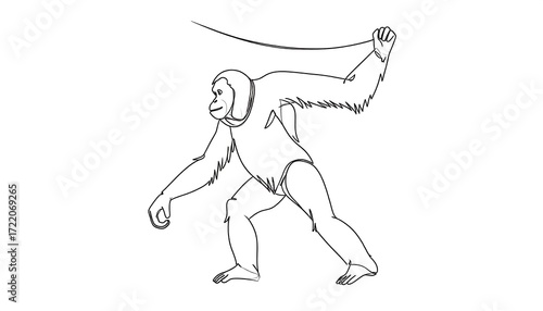 Simple line drawing of an orangutan