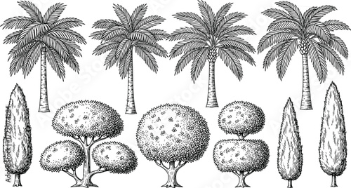 Stylized tree collection with palm, conifer, and bushy types, black and white botanical illustration, landscape design, nature diversity artwork