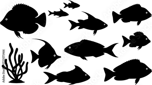 sea animals, fish, algae set silhouette ,on white background, vector
