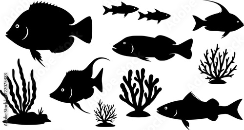 sea animals, fish, algae set silhouette ,on white background, vector
