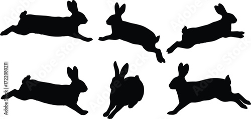 Black rabbit silhouettes jumping and running in different poses isolated on white background, animal vector illustration, wildlife design, Easter bunny art