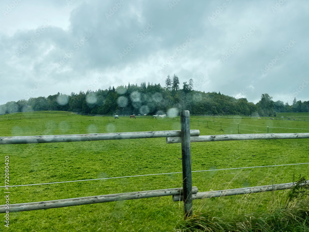 Fototapeta premium Pasture fence view in Germany with green fields, horses, and an overcast rainy day