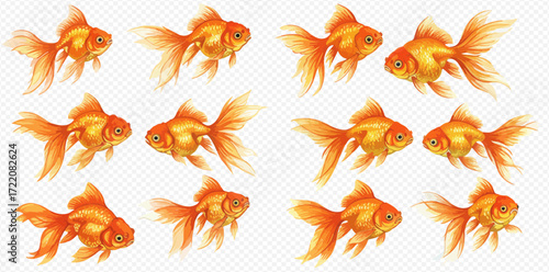 A collection of twelve vibrant orange goldfish swimming in different orientations against a transparent background.