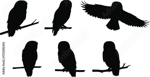 Collection of owl bird silhouettes perched on branches and flying with wings spread, black vector illustration isolated on white background