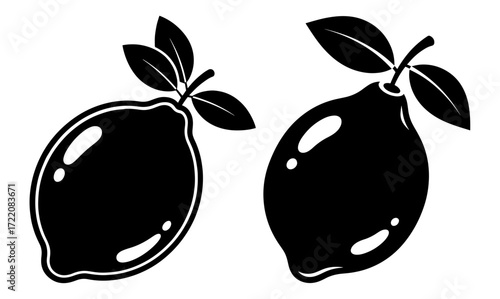Vector art of two lemons with leaves, a black and white vector illustration of citrus fruit
