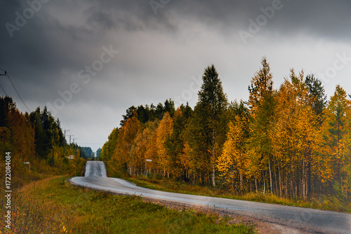 Quadro em tela Scenic road trip through the golden autumn landscape of Lapland, Finland, with a winding asphalt road surrounded by vibrant yellow and orange birch trees