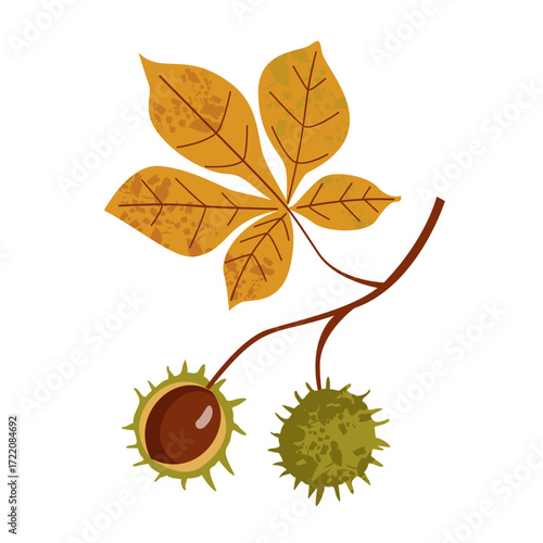 Autumn chestnut branch with spiky green husks and orange leaves isolated on white background seasonal botanical illustration