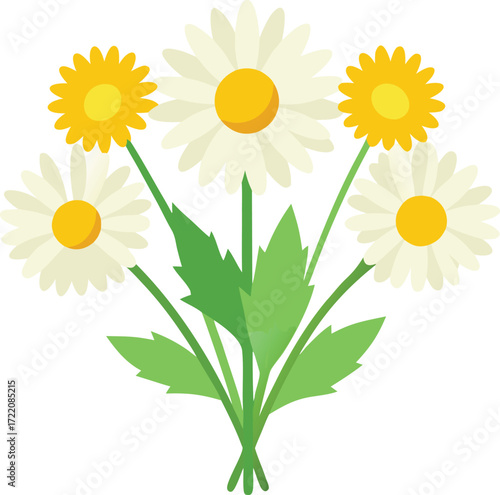 Scalable vector illustration of a field bouquet with chamomile and yellow dandelions eps format