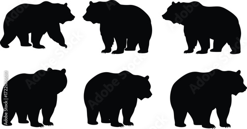 Set of wild bear silhouettes standing and walking in different poses isolated on white background, black animal vector illustration design