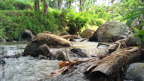 Serene Creek Flowing Through Lush Green Forest