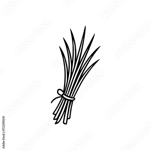 Minimalist Black and White Herb Bundle Illustration with Long Leaves