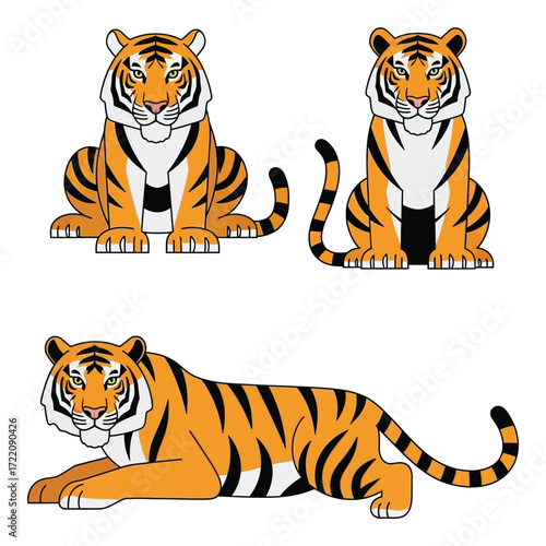 Three majestic tigers posed for a fierce yet captivating wildlife portrait collection