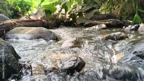 Serene Stream Flowing Over Smooth Rocks in Lush Greenery