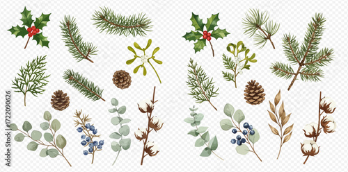 Collection of various botanical elements including pine branches, holly, eucalyptus, cotton, mistletoe, and pinecones arranged on a transparent background.