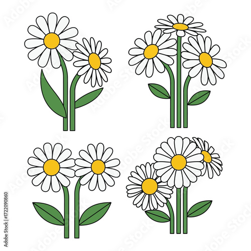 Charming daisy flower arrangements set for spring and summer decorations