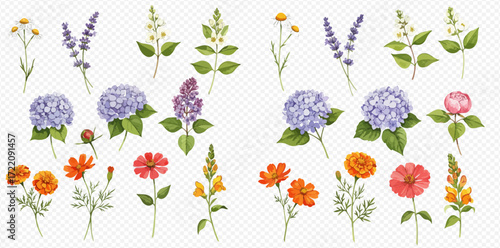 Collection of watercolor floral illustrations featuring various flower types, including lavender, hydrangeas, and marigolds, on a transparent background.