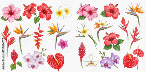 A collection of colorful tropical flowers including hibiscus, orchids, bird of paradise, plumeria, and anthurium.