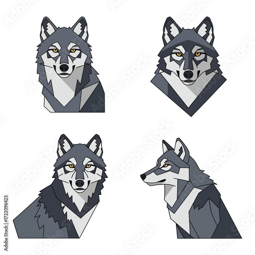 Four distinctive wolf portraits showing different angles and expressions fierce wild animals