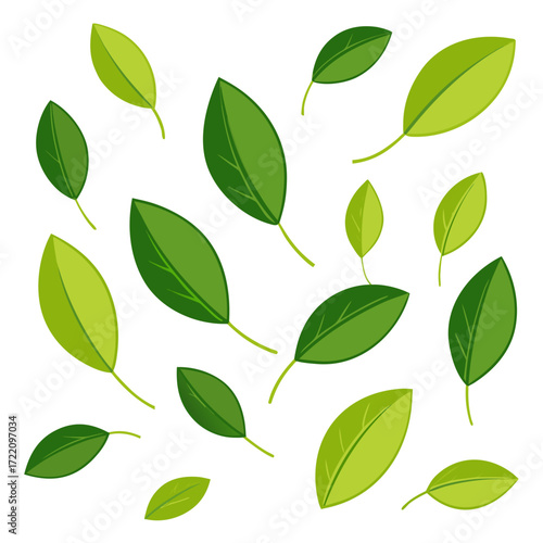 green leaves background