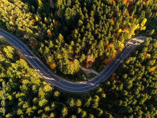 Aerial view of a road with autumn leaves changing