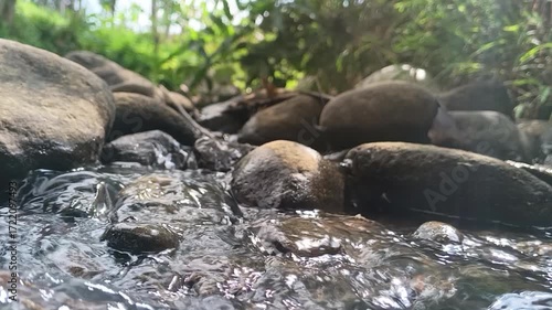 Tranquil Stream Flowing Over Smooth Stones