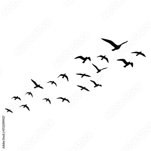 A group of birds in flight, gracefully soaring across the sky, embodying freedom