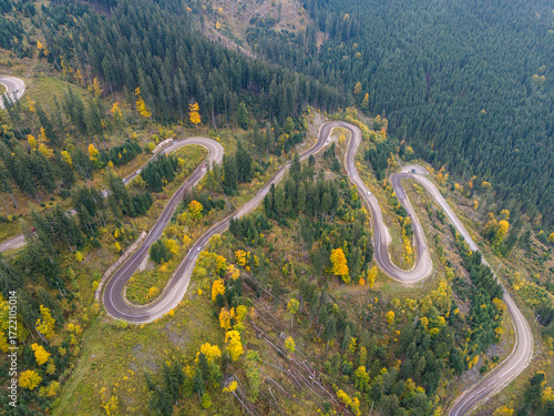 Aerial view of a winding road through vibrant autumn foliage, showcasing the beauty of seasonal change in nature. 