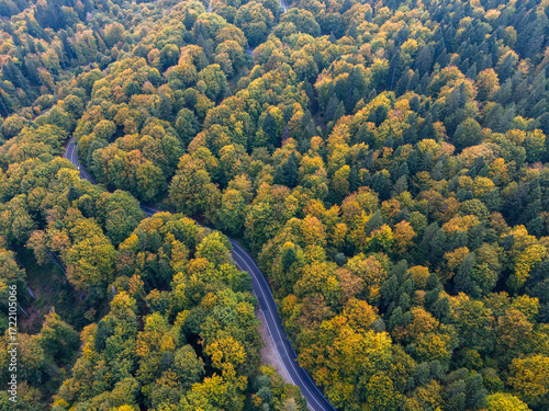 Aerial view of a winding road through vibrant autumn foliage, showcasing the beauty of seasonal change in nature. 