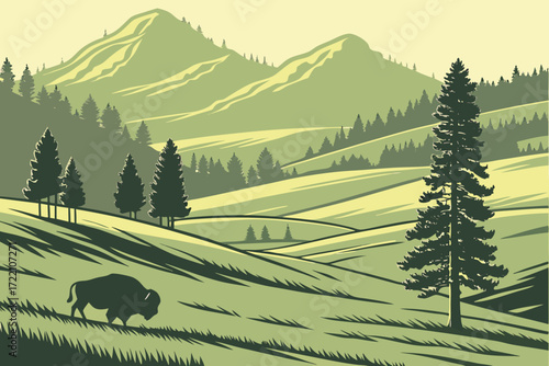 Black Hills Meadows in South Dakota, rolling green pastures with bison grazing under pine ridges