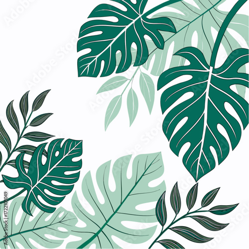 Lush Green Tropical Monstera and Palm Leaves Illustration.