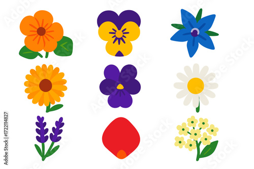 Vibrant Edible Flower Icons. Flat vector icons of edible flowers: nasturtium, pansy, borage, calendula, violet, chamomile,