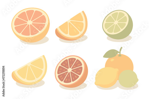 Citrus Fruit Variety. Isometric vector illustration set Citrus Variety for Juicing: pink grapefruit halved with bright flesh,