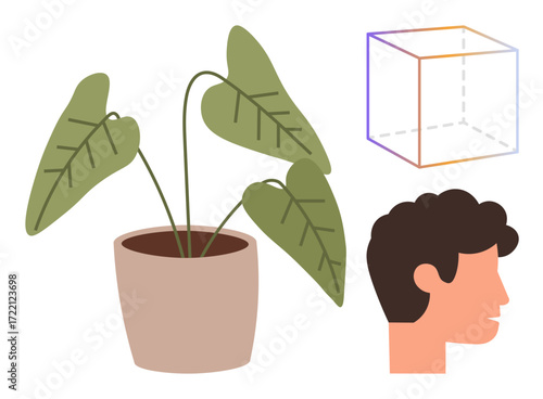 Potted green plant with broad leaves, perspective geometric cube, and side profile of human head. Ideal for nature, geometry, education, creativity, art design and simplicity. Represents balance