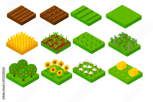 Colorful Farm Fields. Isometric vector illustration set Farm Fields: plowed soil, seeded rows, sprouting plants, green field,