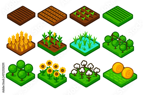 Colorful Farm Fields. Isometric vector illustration set Farm Fields: plowed soil, seeded rows, sprouting plants, green field,