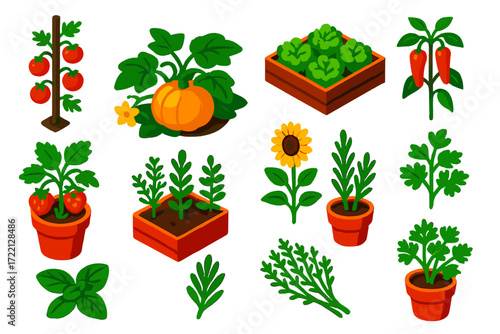 Seasonal Greenhouse Illustrations. Isometric vector illustration set Seasonal Greenhouse: tomato row, pumpkin plant, lettuce bed,