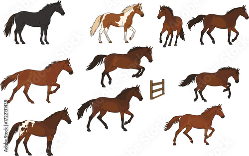 Collection of colorful horse illustrations, running stallions, standing ponies, jumping horses, equine animal artwork, farm animal vector design for wildlife and ranch themes