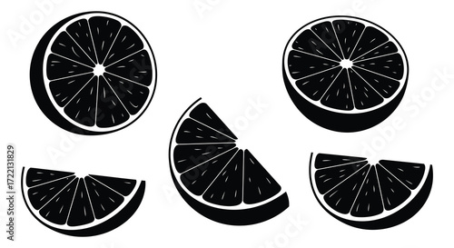 Black and white illustration of citrus fruit slices and wedges