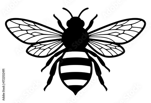 Honey bee with detailed wings and striped body, insect, nature, bee, flying, honey bee